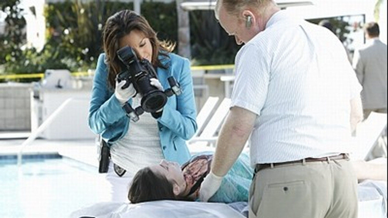 CSI: Kryminalne zagadki Miami {se_code} - Vider
