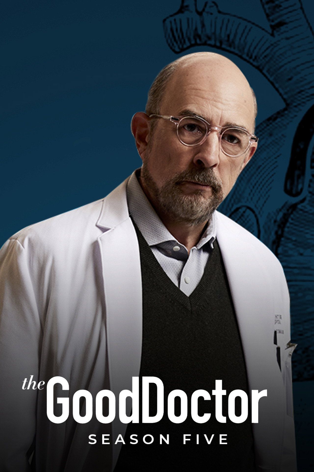 The Good Doctor Sezon 5 - Vider