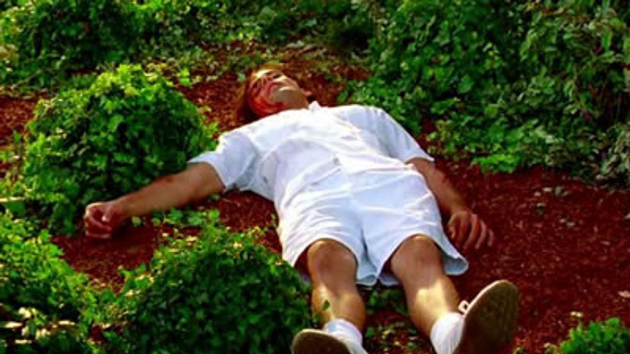 CSI: Kryminalne zagadki Miami {se_code} - Vider