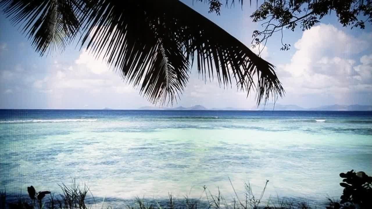 Nie z tego świata {se_code} - Vider