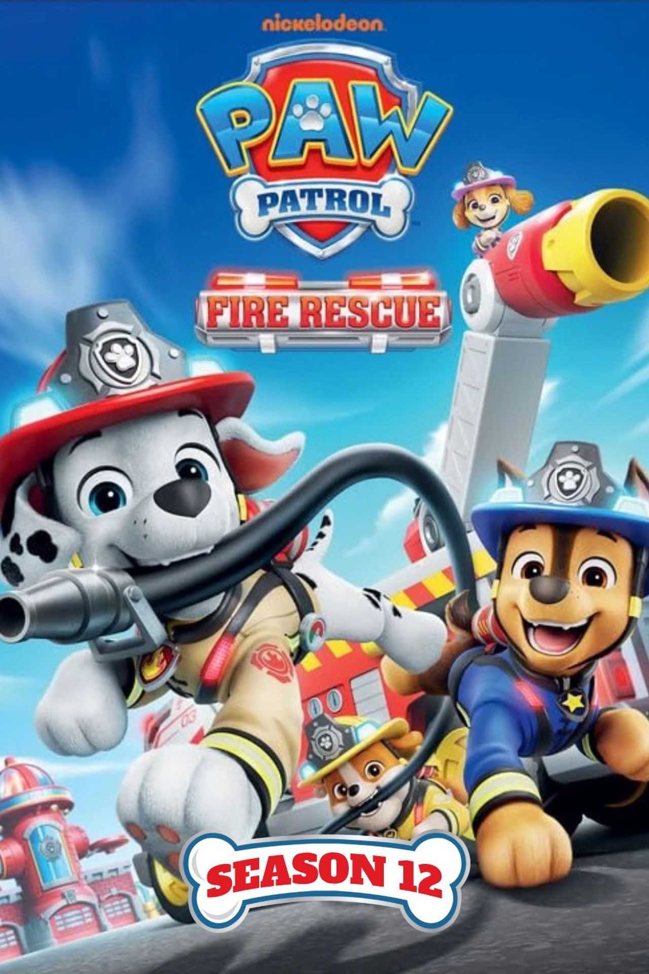 Psi Patrol Sezon 12 - Vider