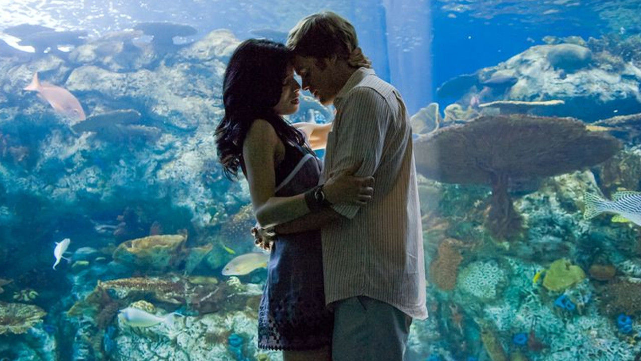 Dexter {se_code} - Vider