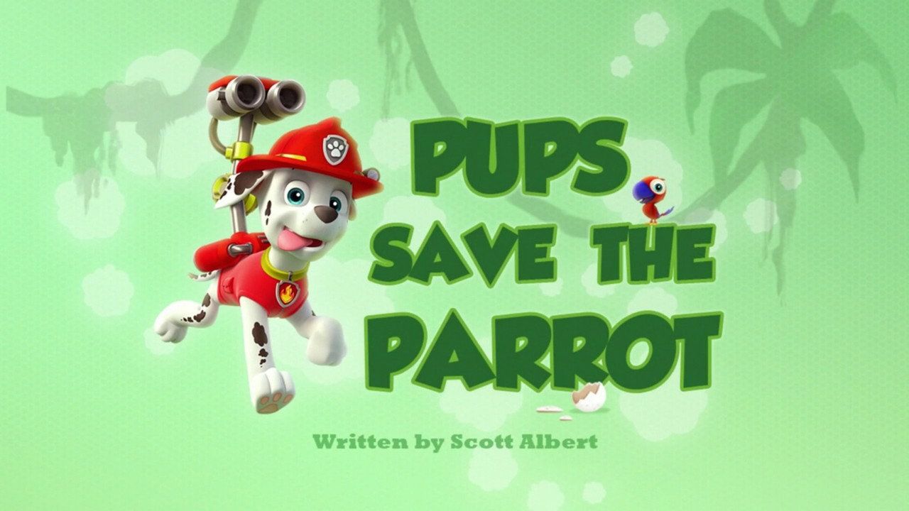Psi Patrol {se_code} - Vider
