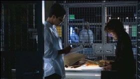 CSI: Kryminalne zagadki Miami {se_code} - Vider