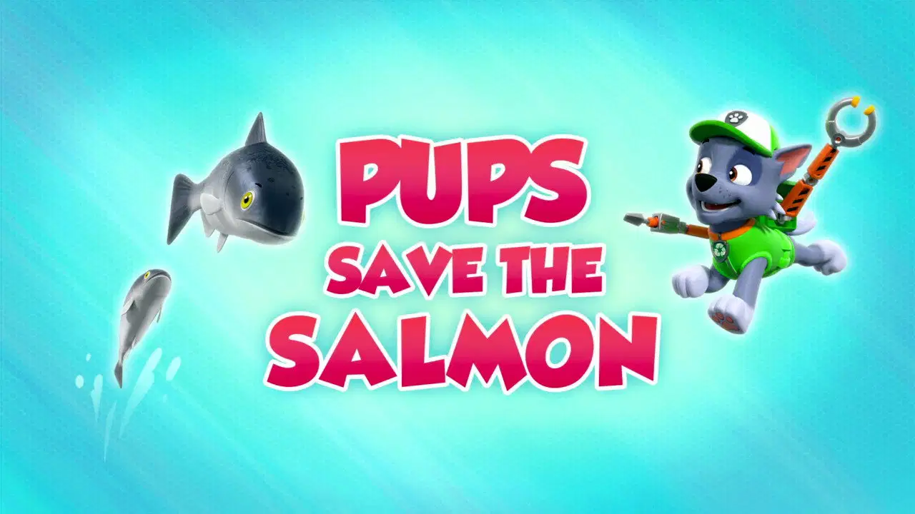 Psi Patrol {se_code} - Vider