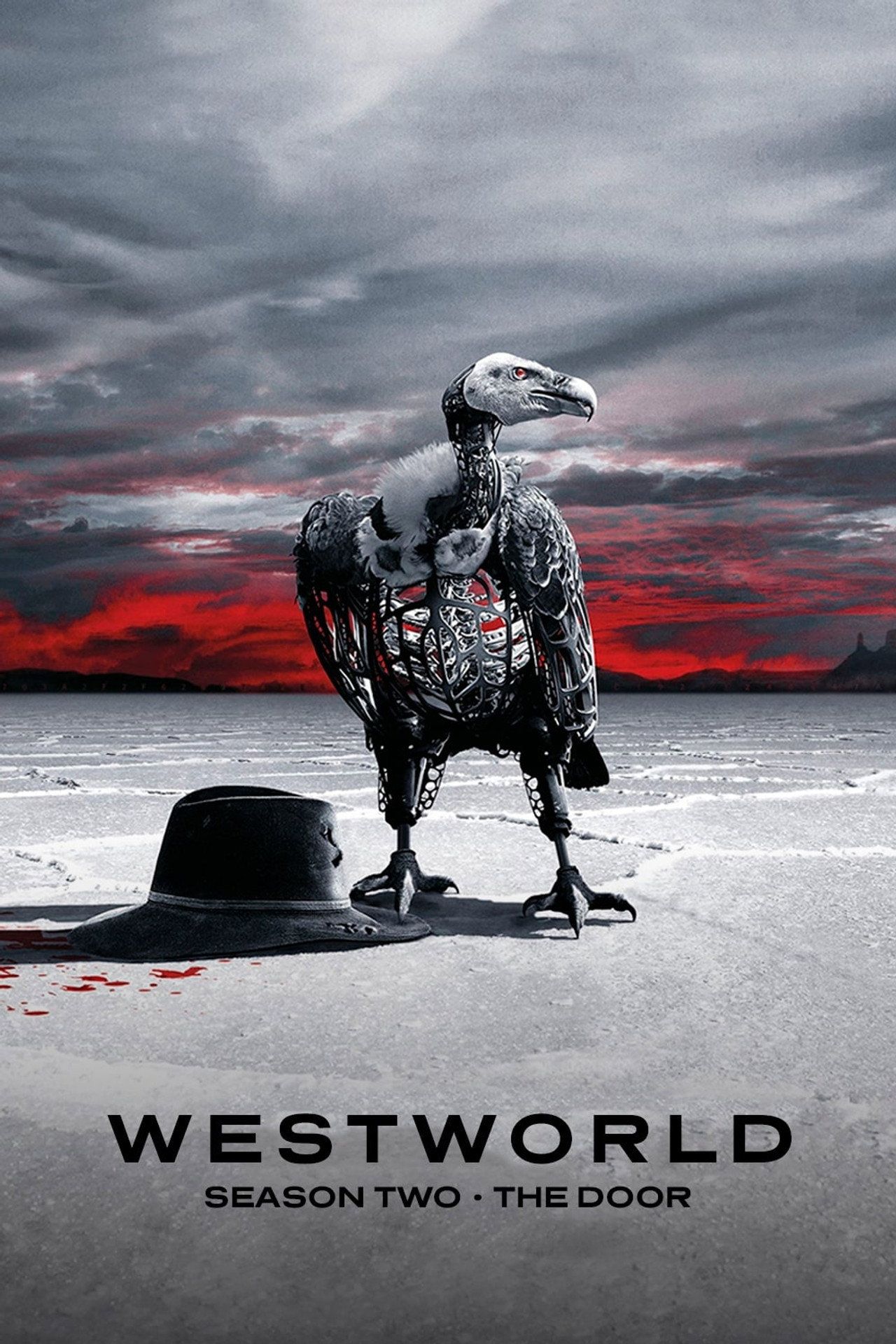 Westworld Sezon 2 - Vider