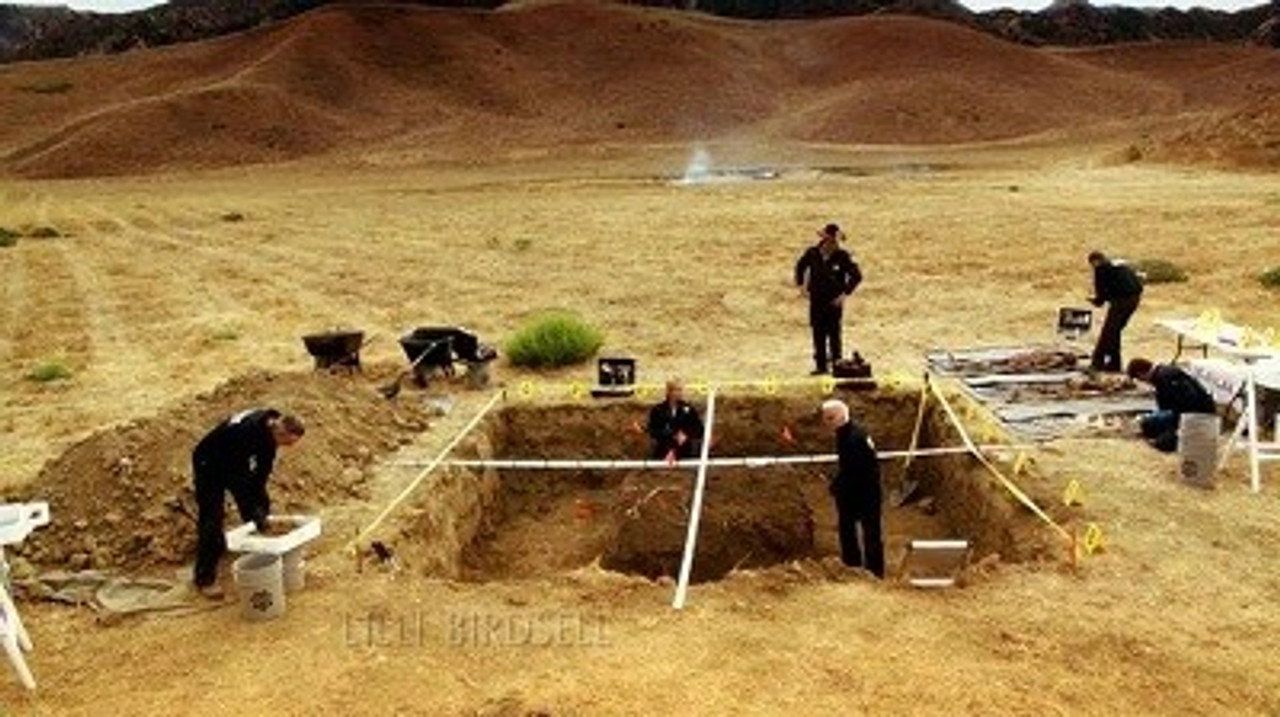 CSI. Kryminalne zagadki Las Vegas {se_code} - Vider