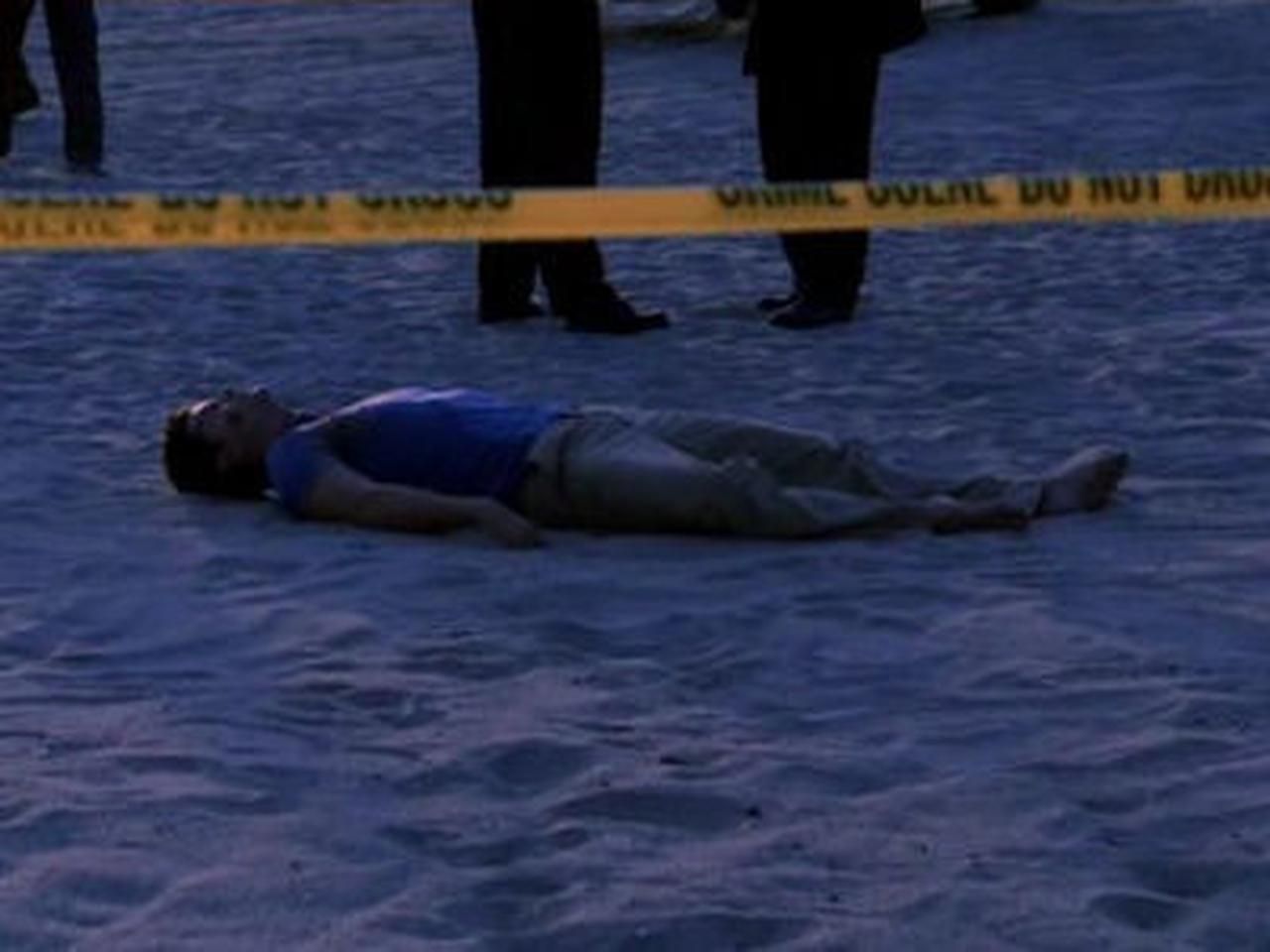 CSI: Kryminalne zagadki Miami {se_code} - Vider