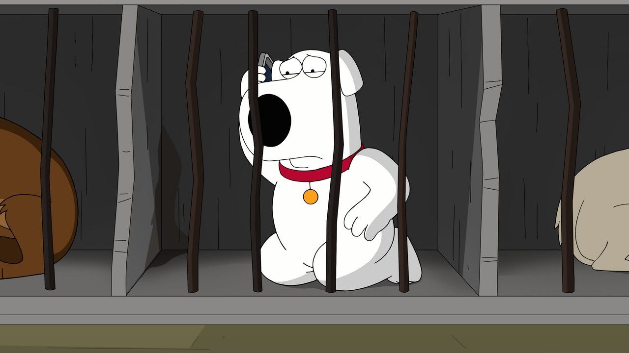 Family Guy: Głowa rodziny {se_code} - Vider
