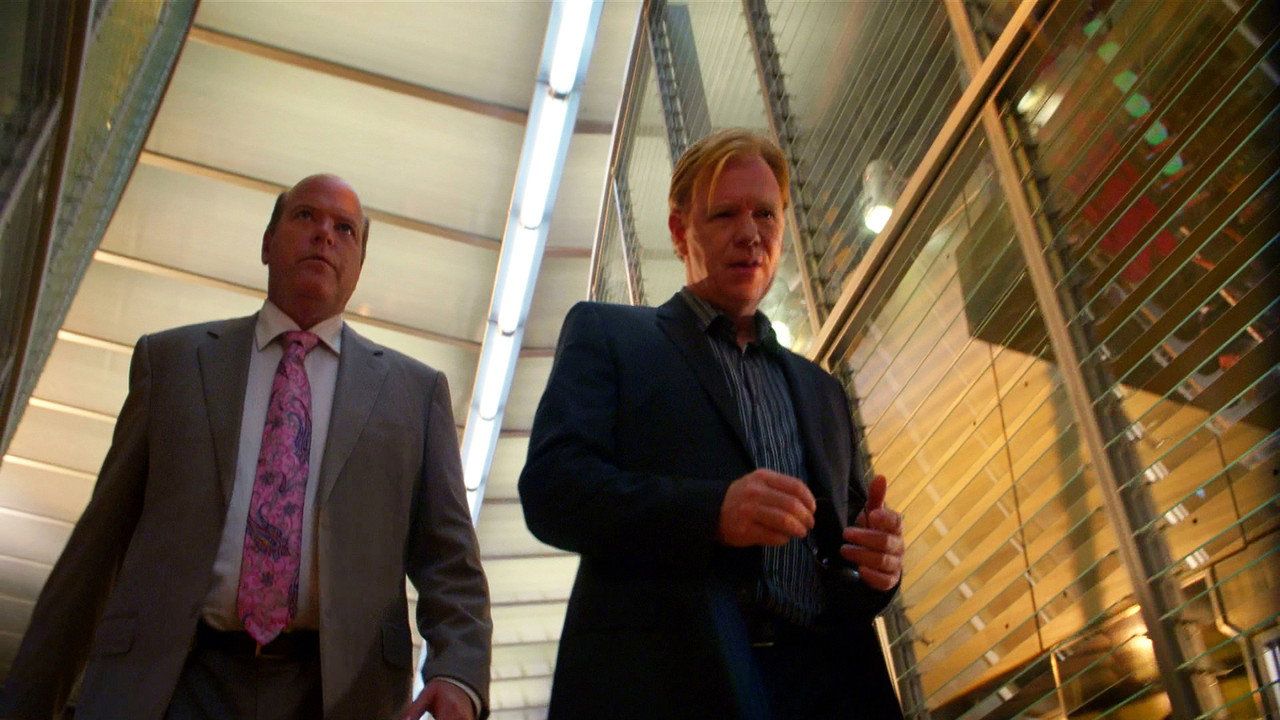 CSI: Kryminalne zagadki Miami {se_code} - Vider