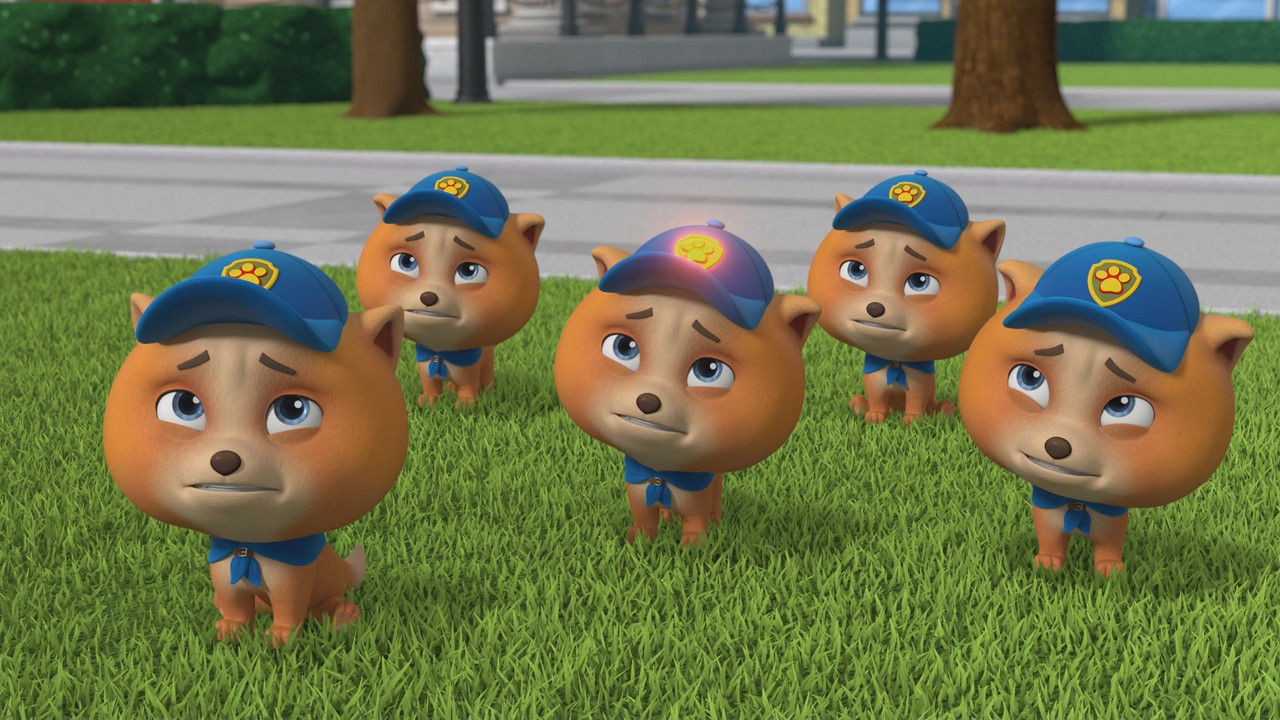 Psi Patrol {se_code} - Vider