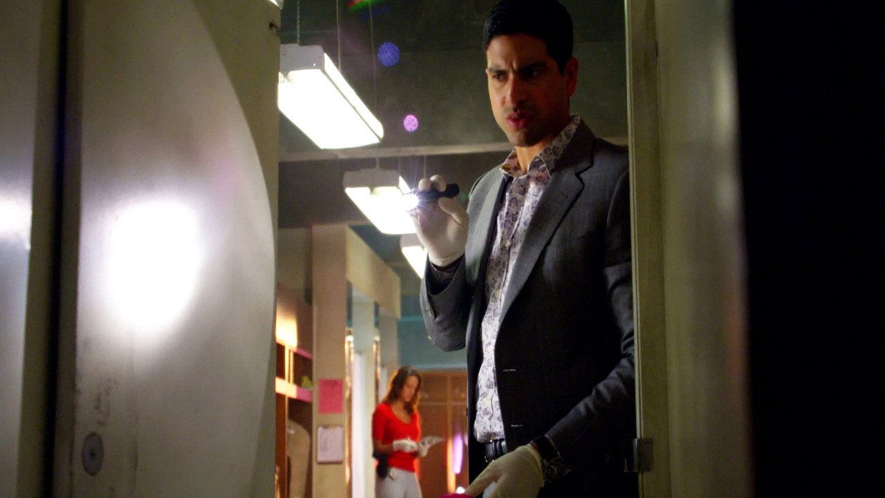 CSI: Kryminalne zagadki Miami {se_code} - Vider