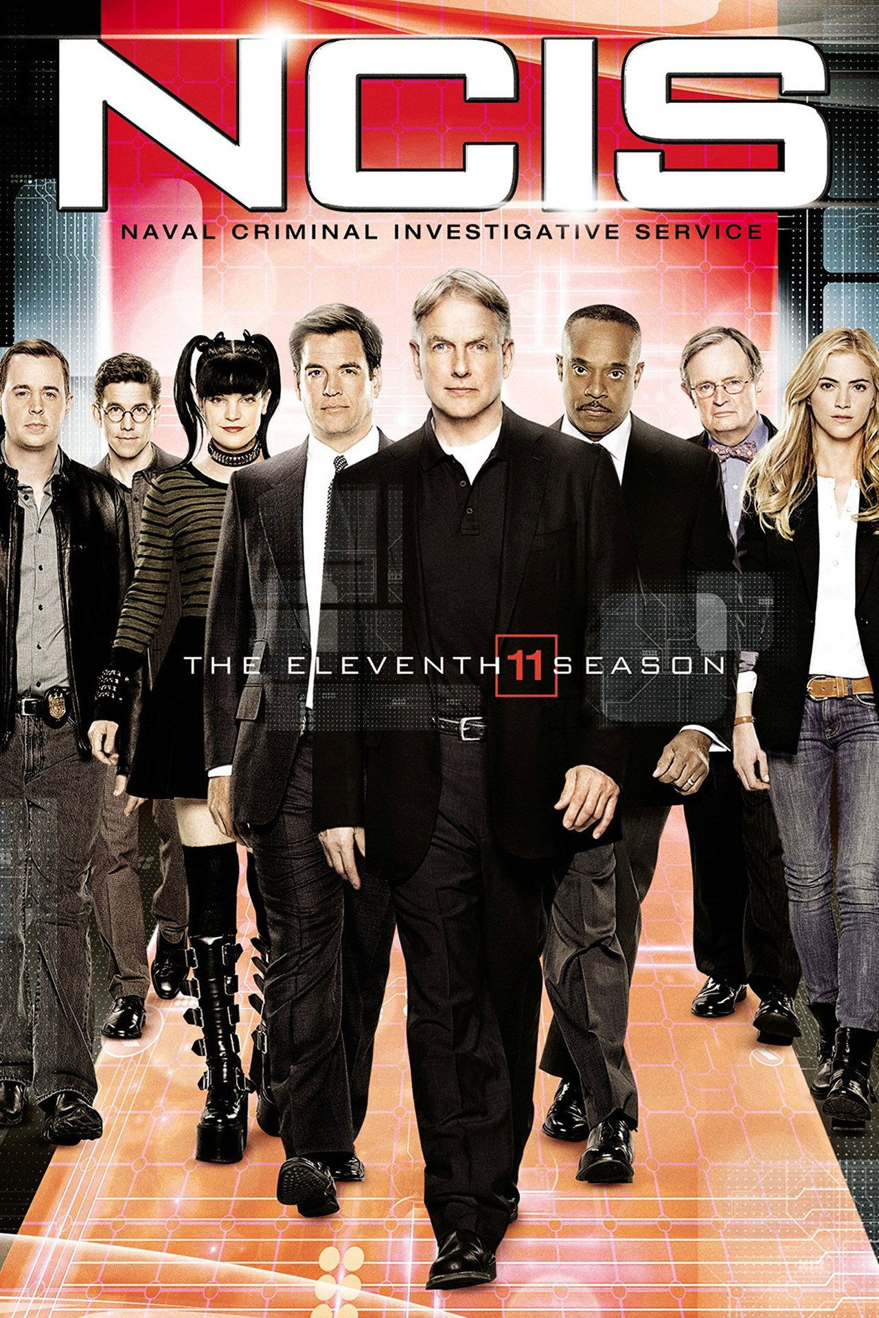 Agenci NCIS Sezon 11 - Vider