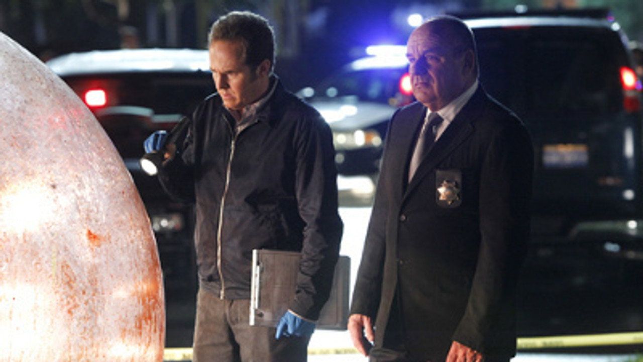 CSI. Kryminalne zagadki Las Vegas {se_code} - Vider