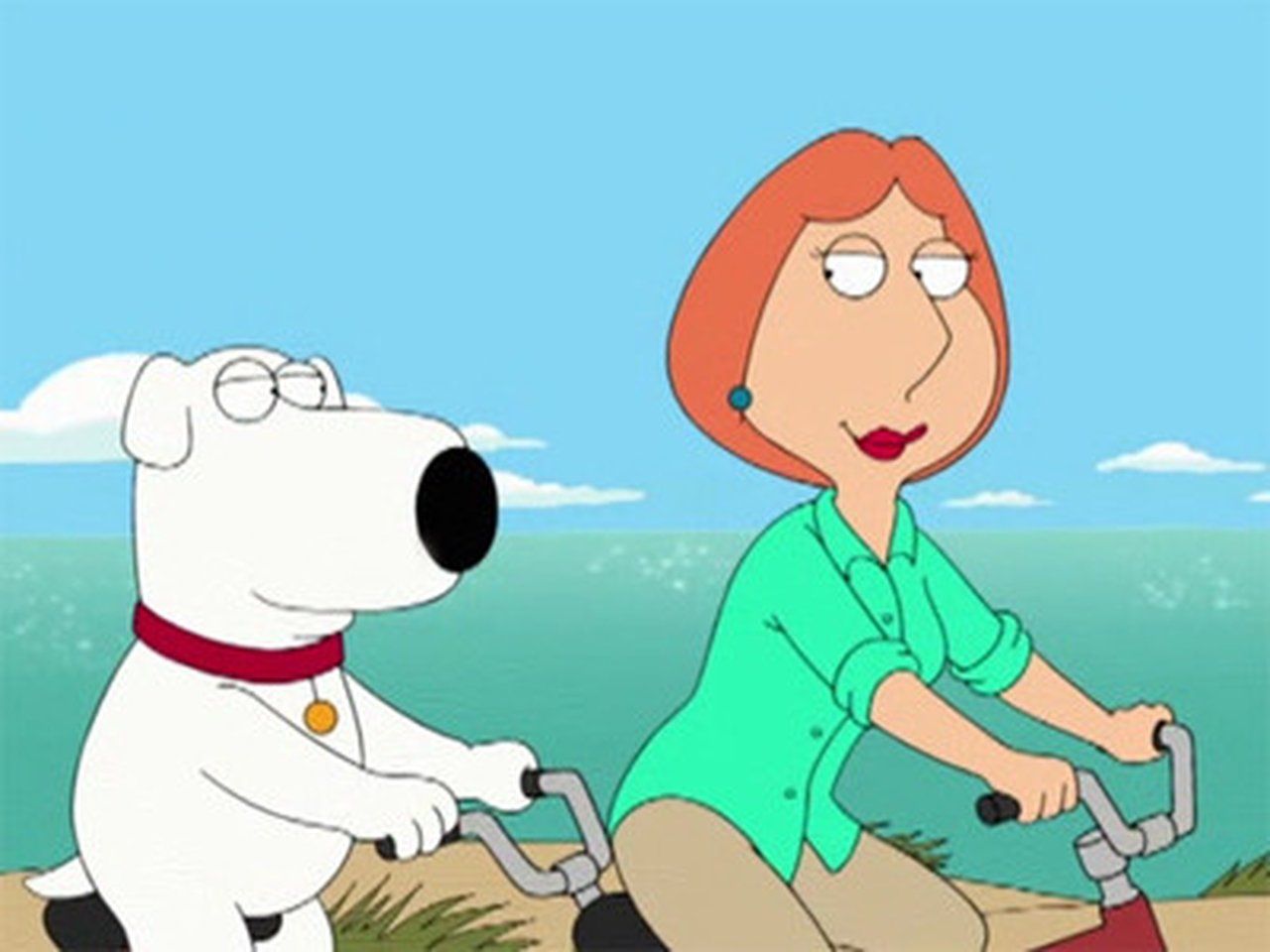Family Guy: Głowa rodziny {se_code} - Vider