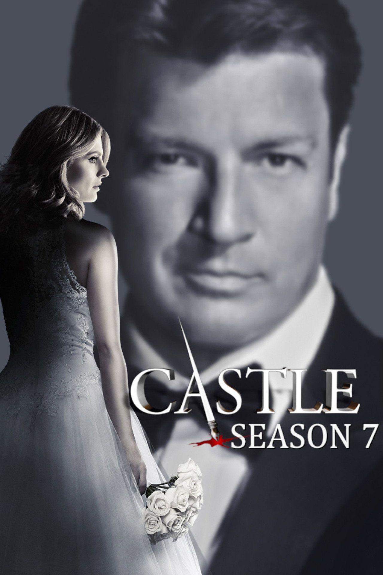 Castle Sezon 7 - Vider