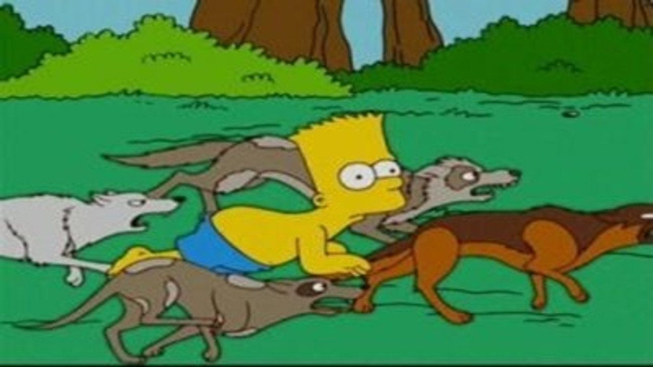 Simpsonowie {se_code} - Vider