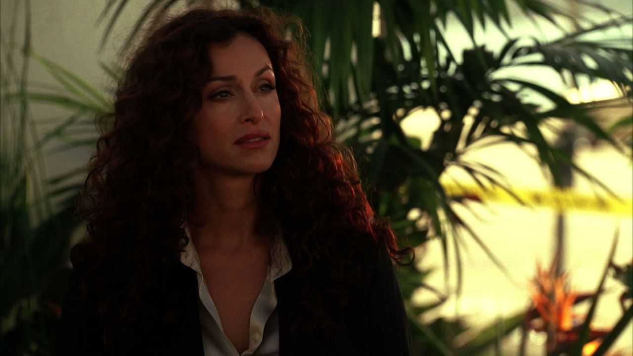 CSI: Kryminalne zagadki Miami {se_code} - Vider