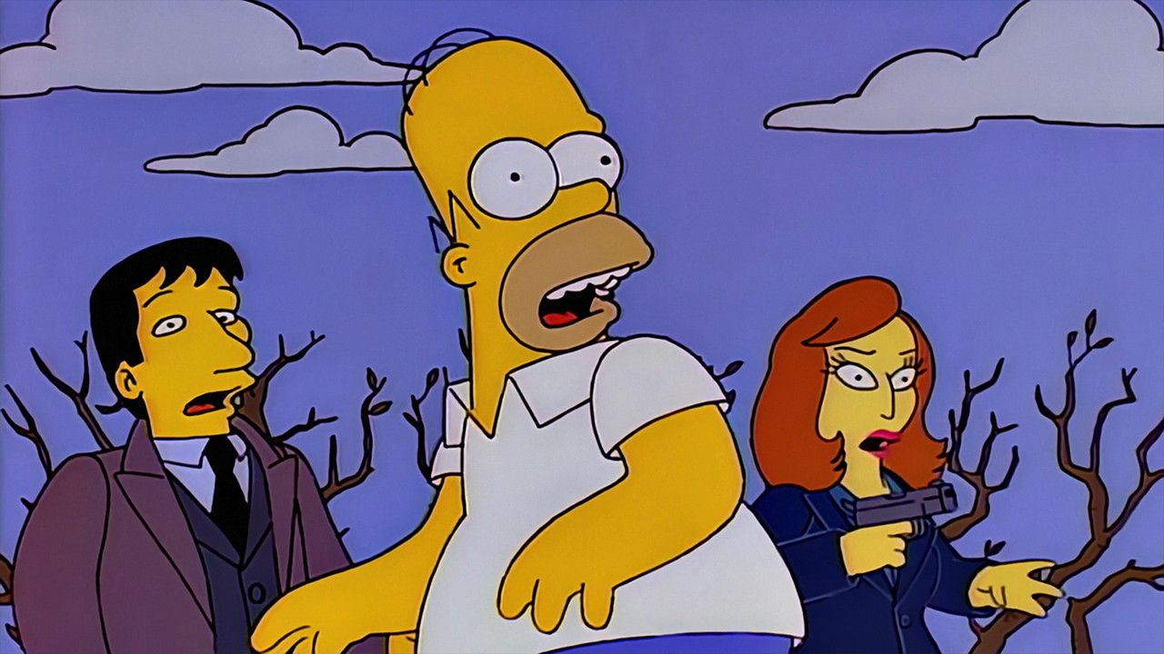 Simpsonowie {se_code} - Vider