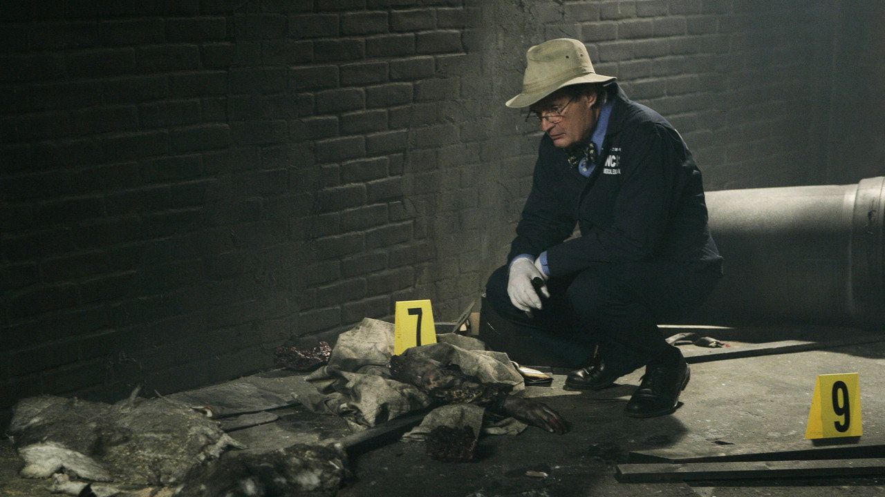 Agenci NCIS {se_code} - Vider