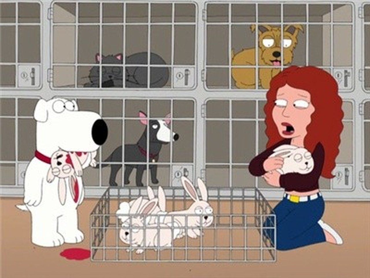 Family Guy: Głowa rodziny {se_code} - Vider