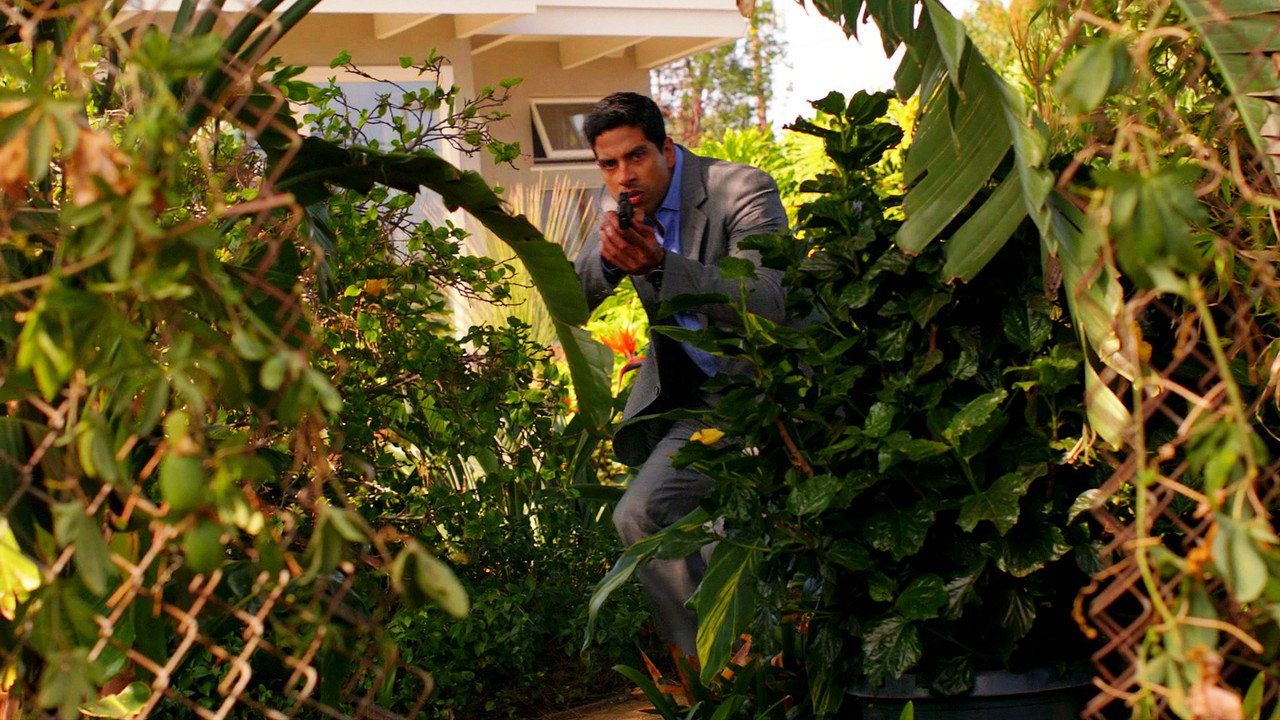 CSI: Kryminalne zagadki Miami {se_code} - Vider