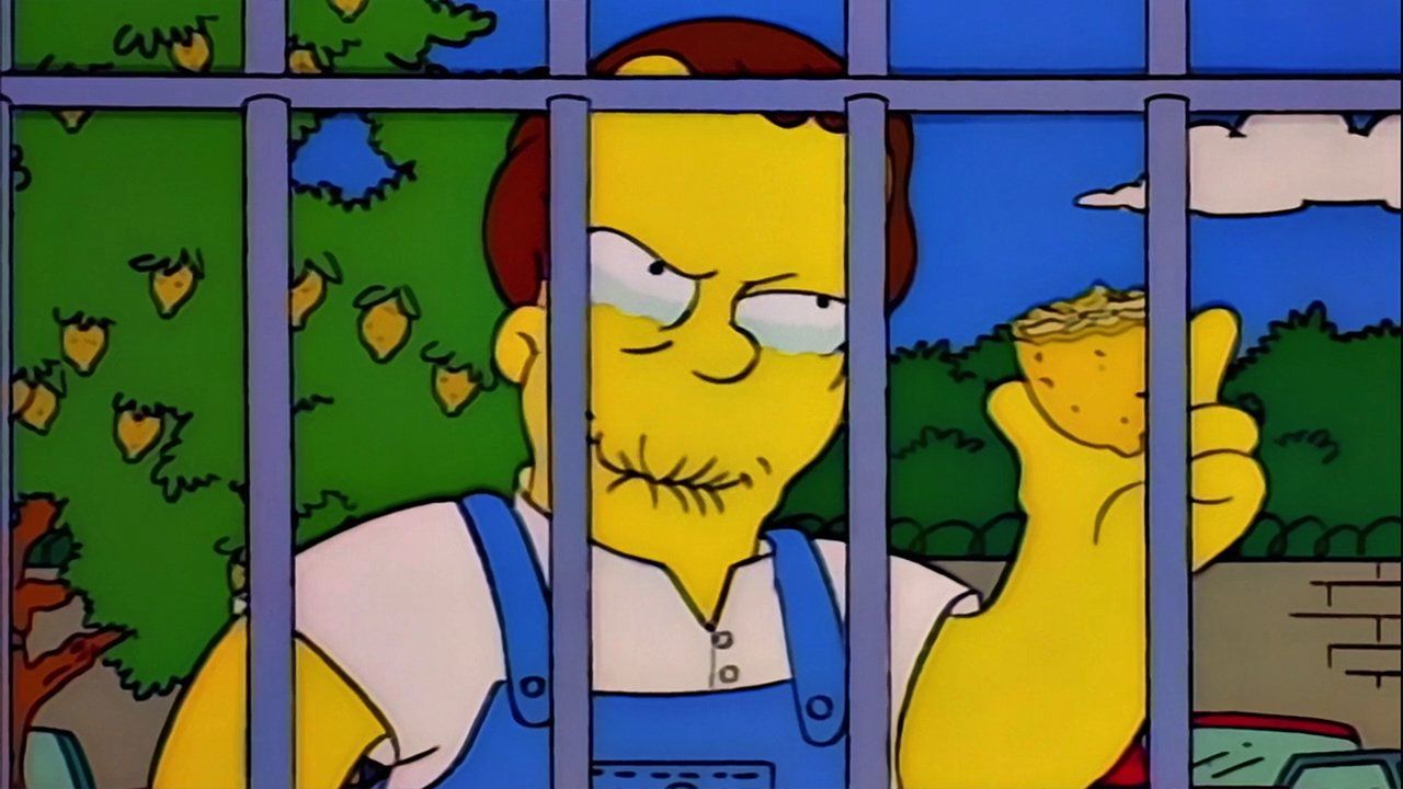 Simpsonowie {se_code} - Vider