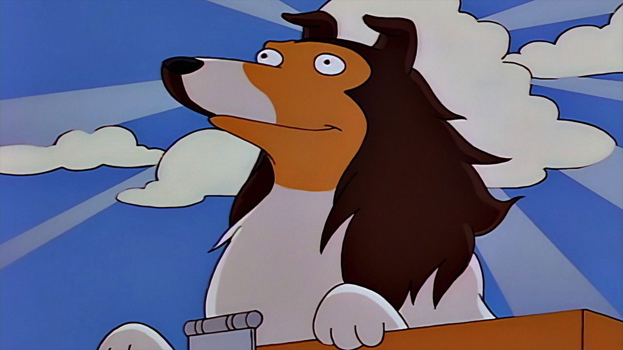 Simpsonowie {se_code} - Vider
