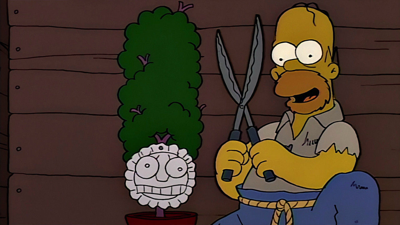 Simpsonowie {se_code} - Vider