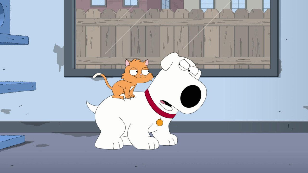 Family Guy: Głowa rodziny {se_code} - Vider