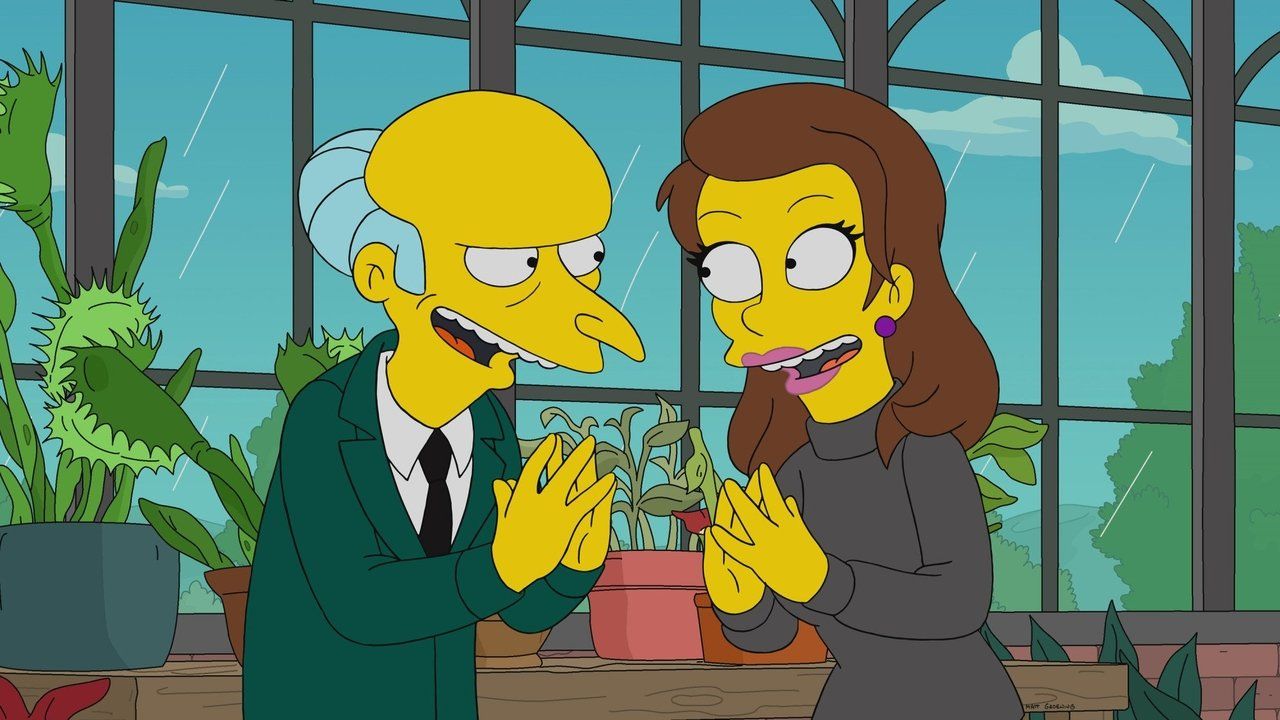 Simpsonowie {se_code} - Vider