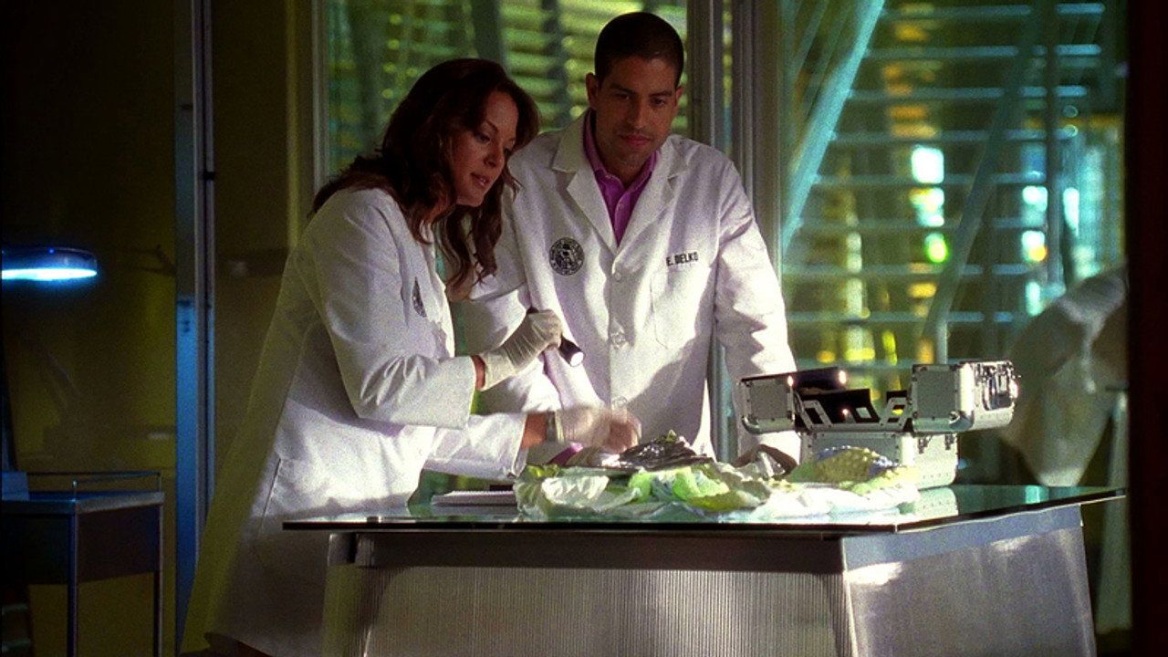 CSI: Kryminalne zagadki Miami {se_code} - Vider