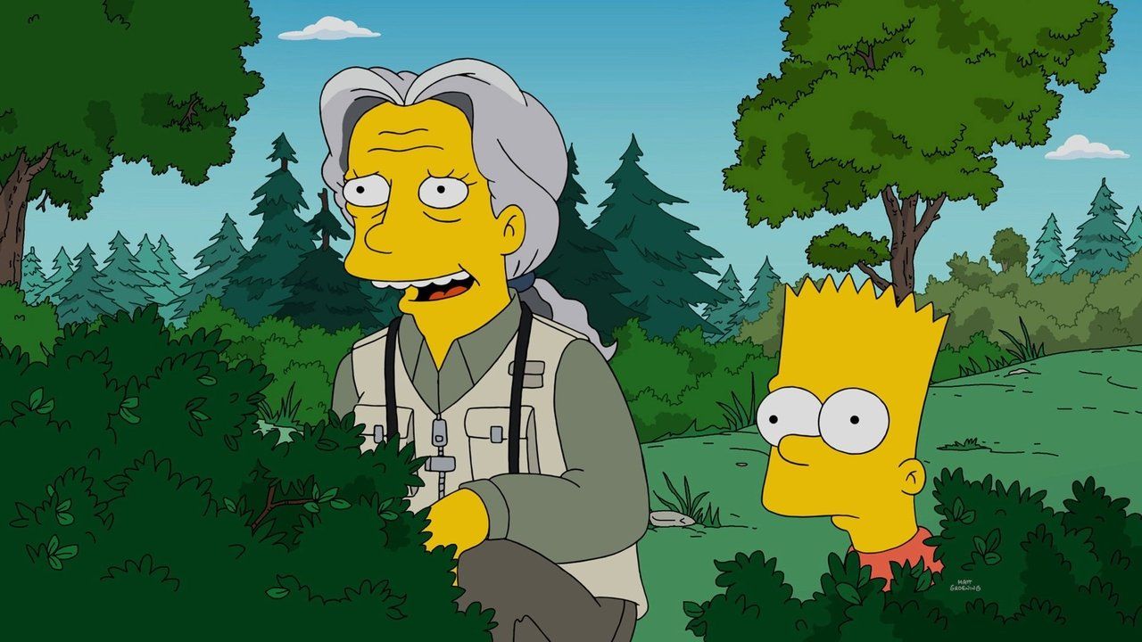 Simpsonowie {se_code} - Vider