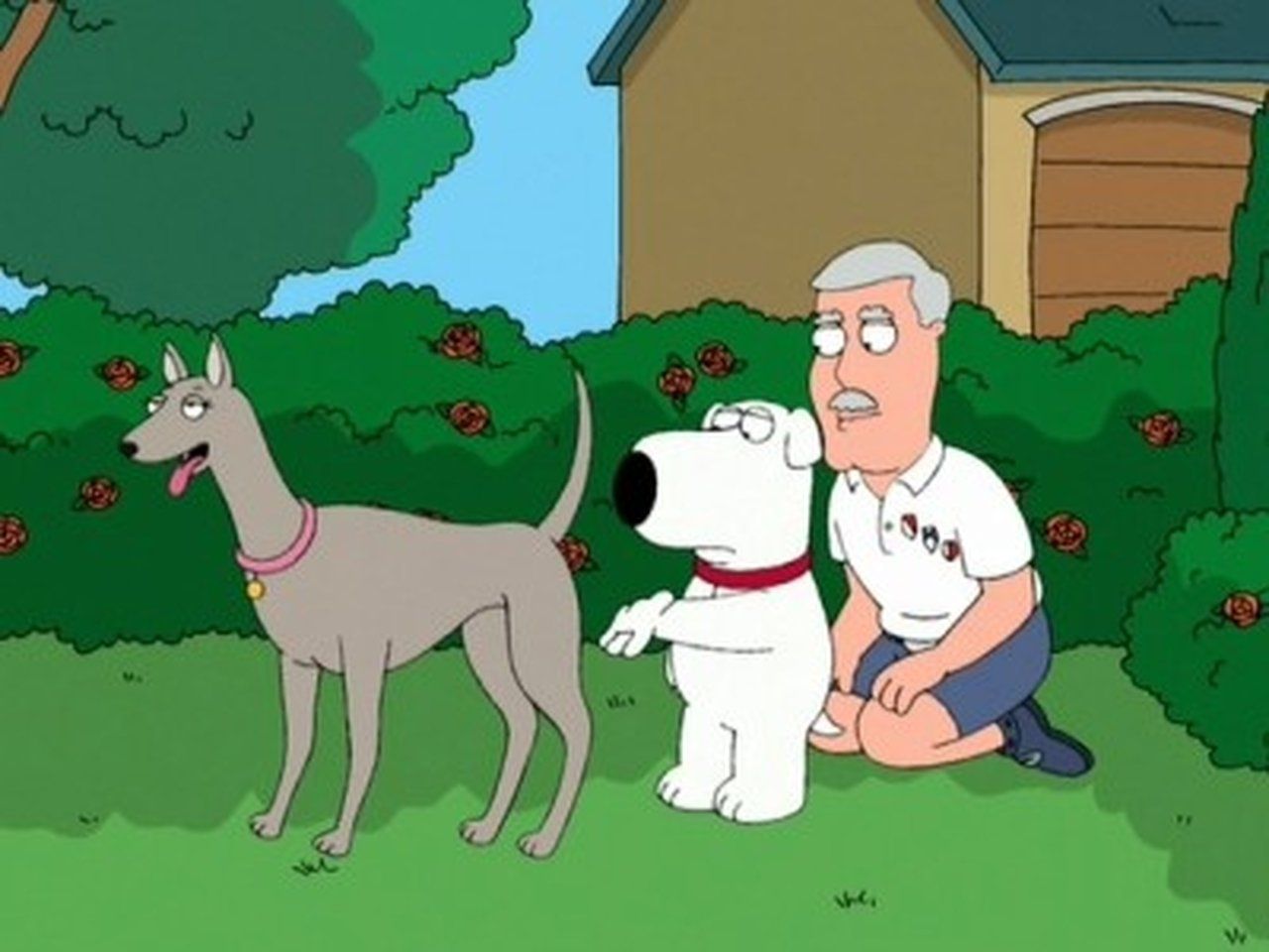 Family Guy: Głowa rodziny {se_code} - Vider