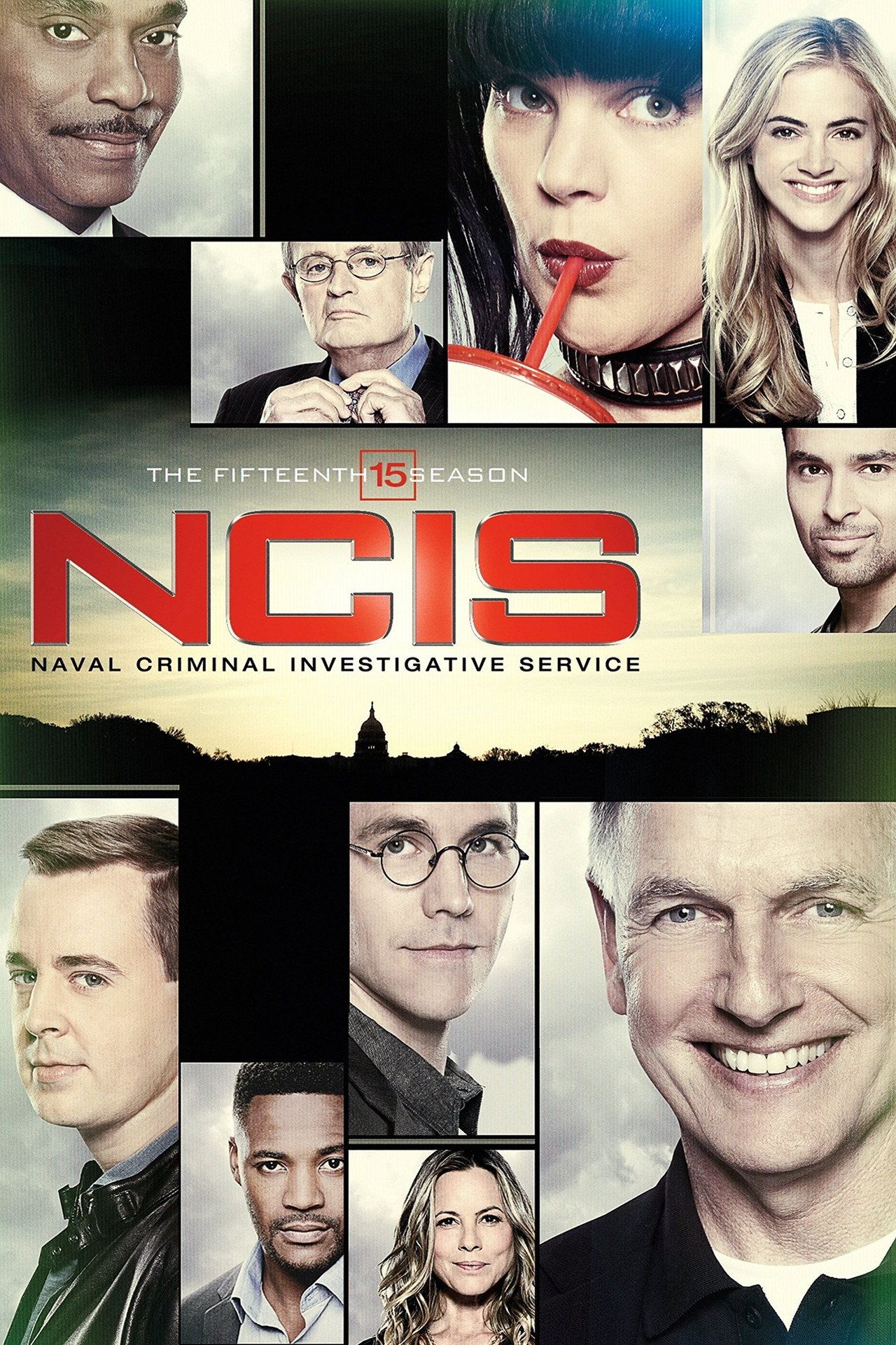Agenci NCIS Sezon 15 - Vider