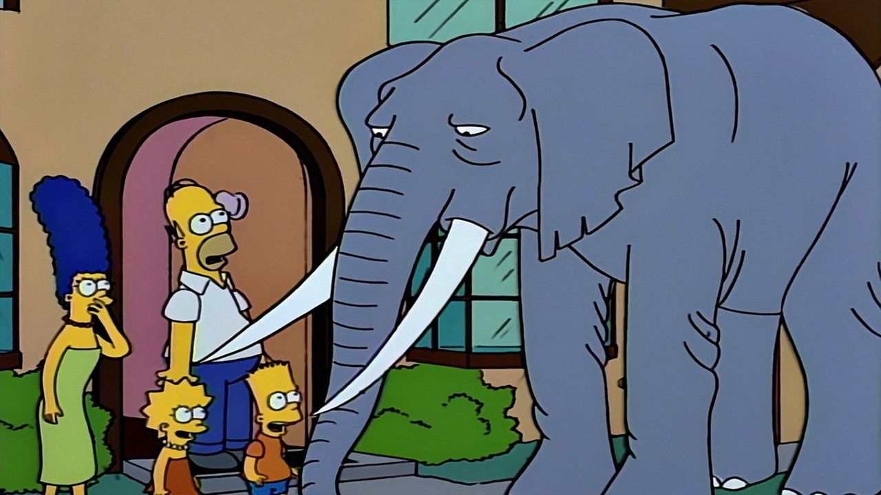 Simpsonowie {se_code} - Vider