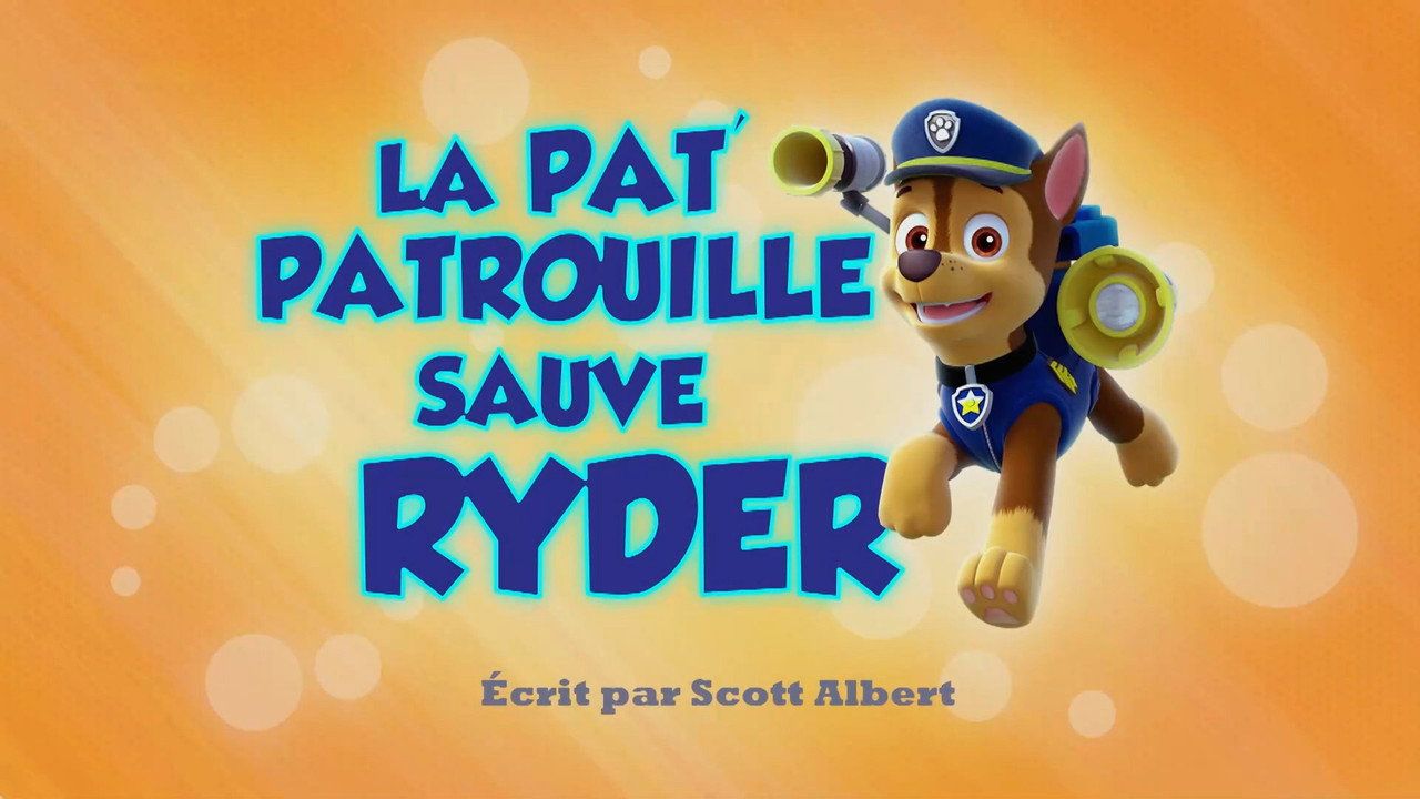 Psi Patrol {se_code} - Vider