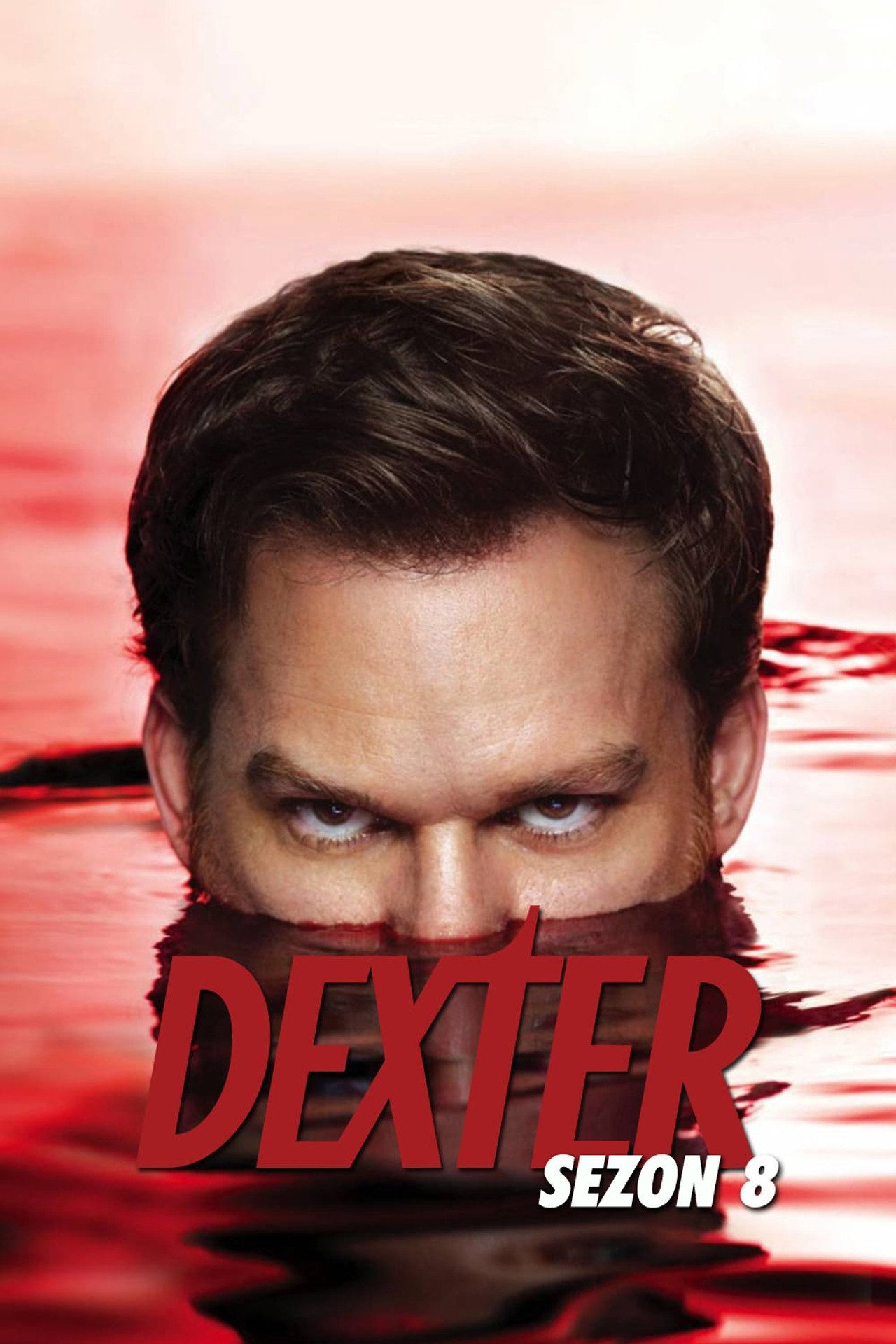Dexter Sezon 8 - Vider