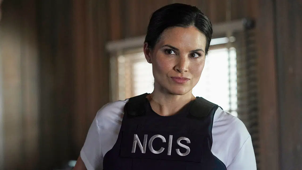 Agenci NCIS {se_code} - Vider