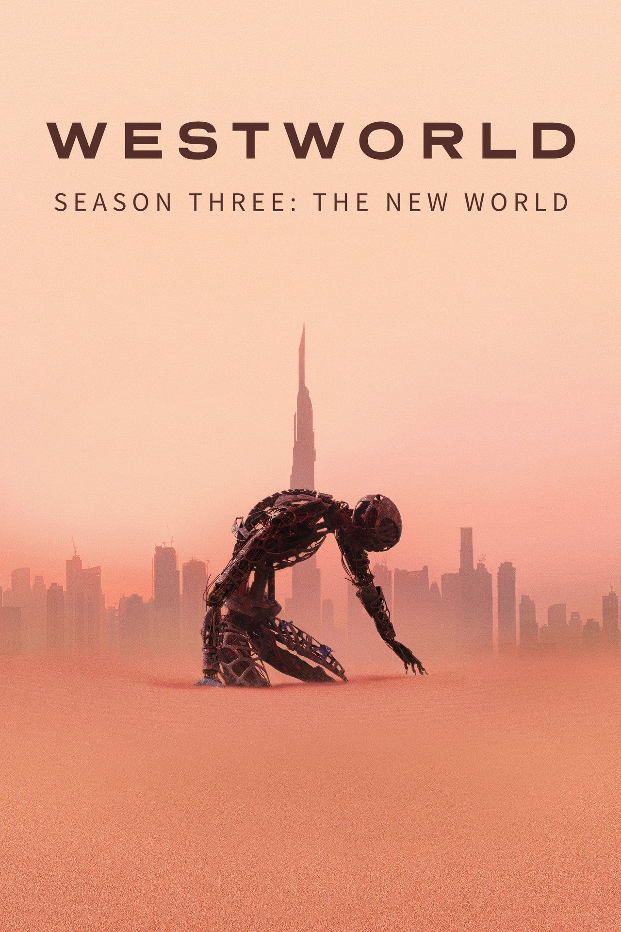 Westworld Sezon 3 - Vider