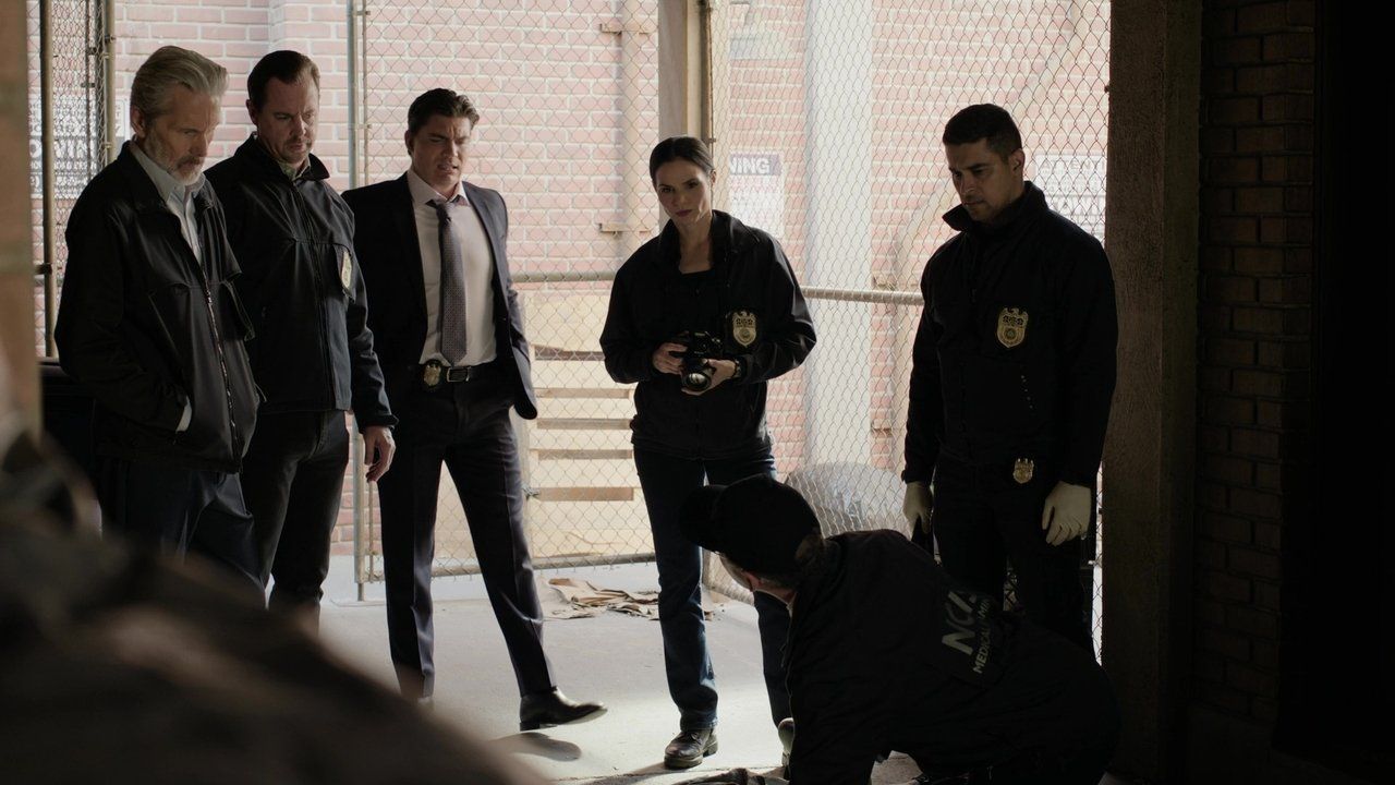 Agenci NCIS {se_code} - Vider