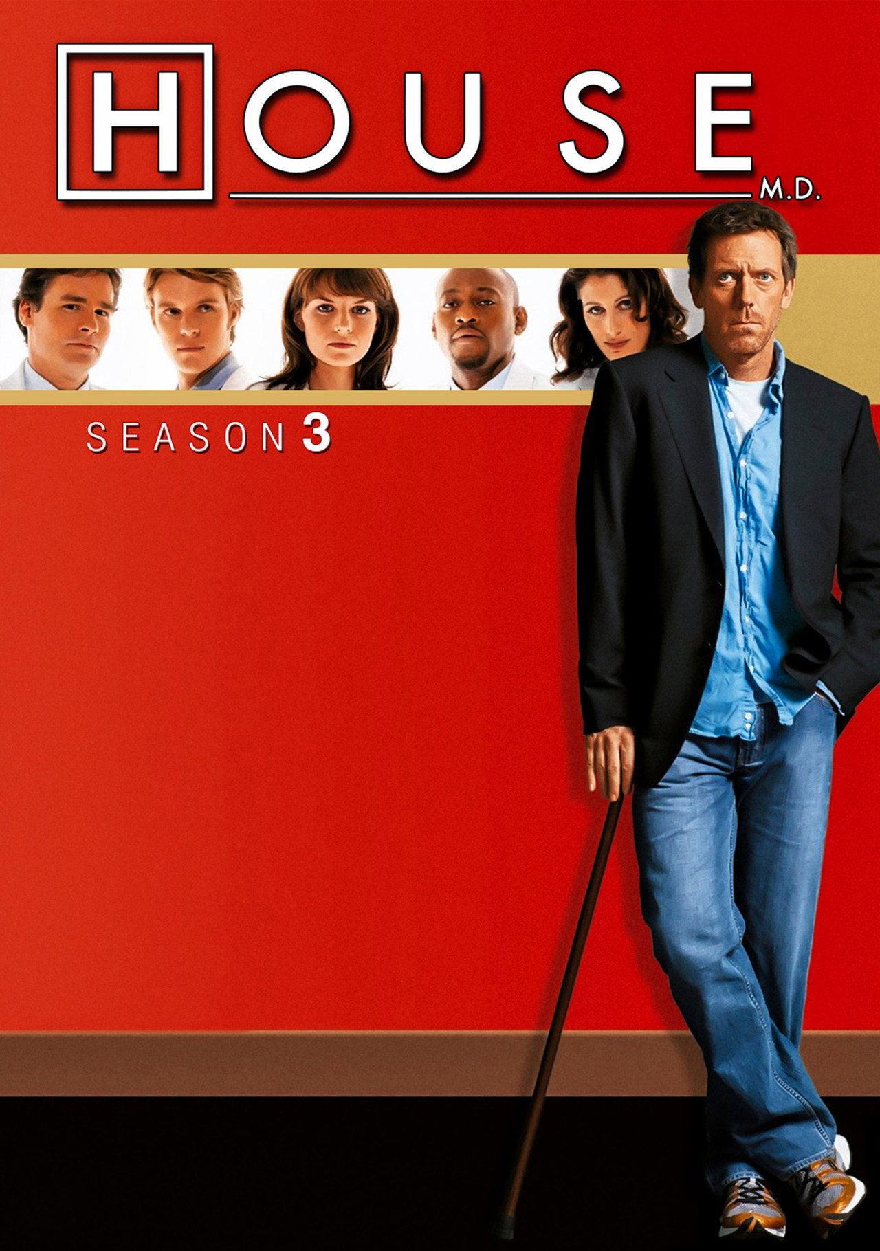 Dr House Sezon 3 - Vider