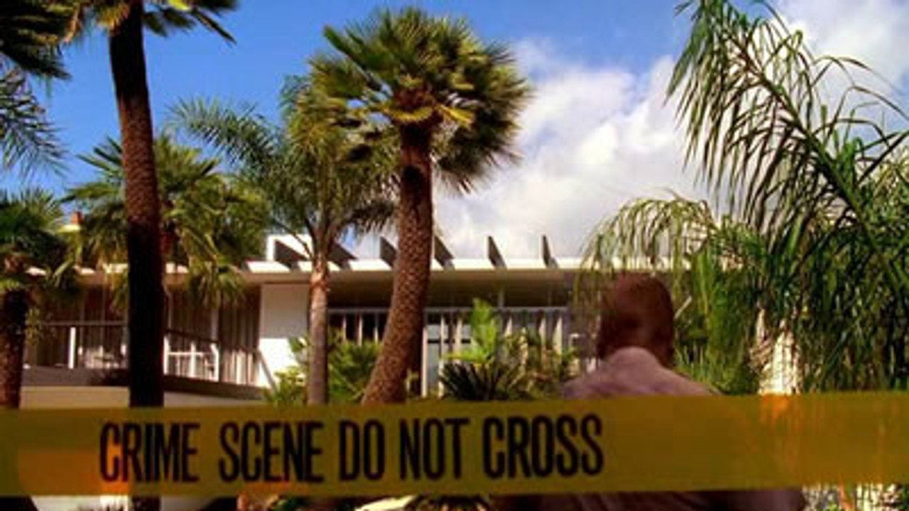 CSI: Kryminalne zagadki Miami {se_code} - Vider