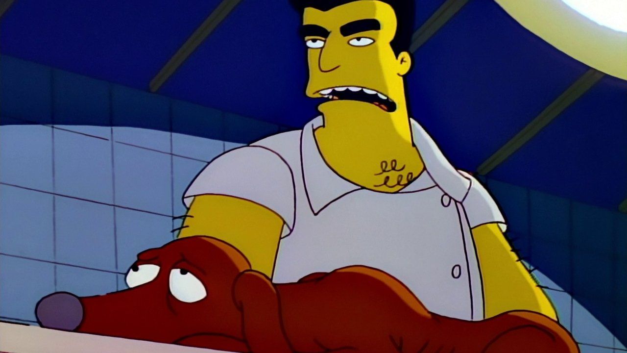 Simpsonowie {se_code} - Vider