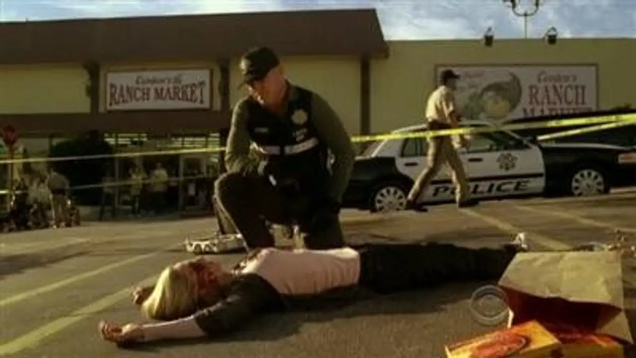 CSI. Kryminalne zagadki Las Vegas {se_code} - Vider
