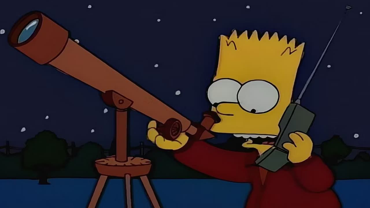 Simpsonowie {se_code} - Vider