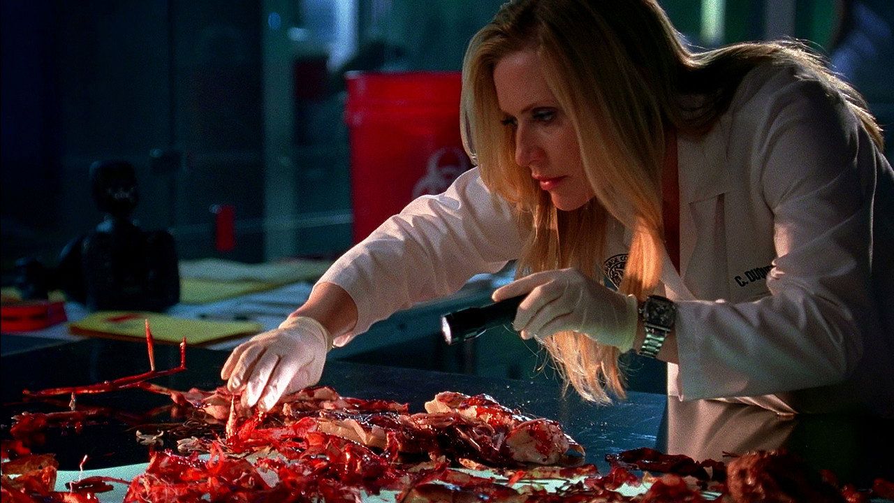 CSI: Kryminalne zagadki Miami {se_code} - Vider