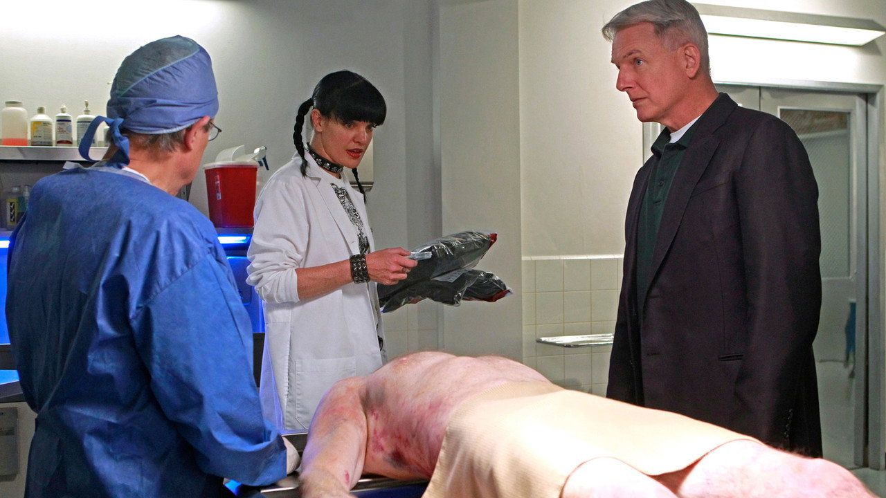 Agenci NCIS {se_code} - Vider
