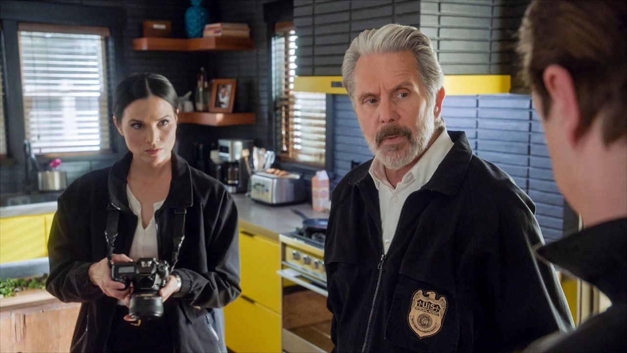 Agenci NCIS {se_code} - Vider