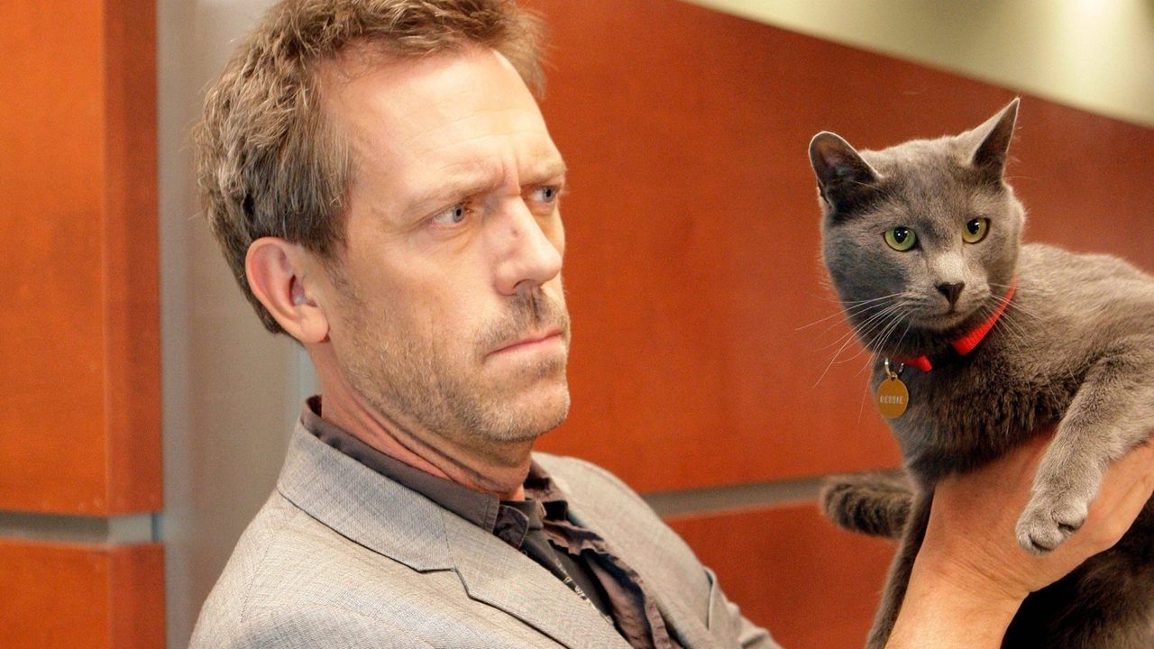 Dr House {se_code} - Vider
